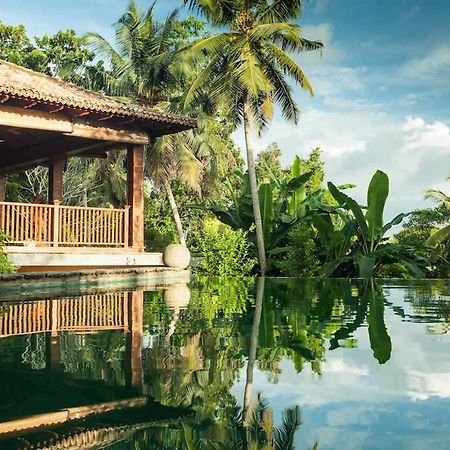 Sri Yoga Shala Bed & Breakfast Unawatuna Dış mekan fotoğraf