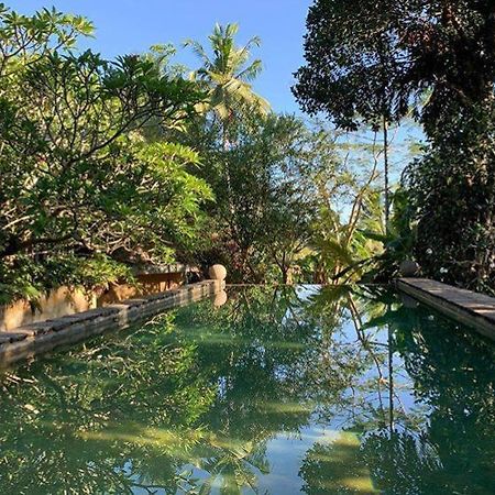 Sri Yoga Shala Bed & Breakfast Unawatuna Dış mekan fotoğraf