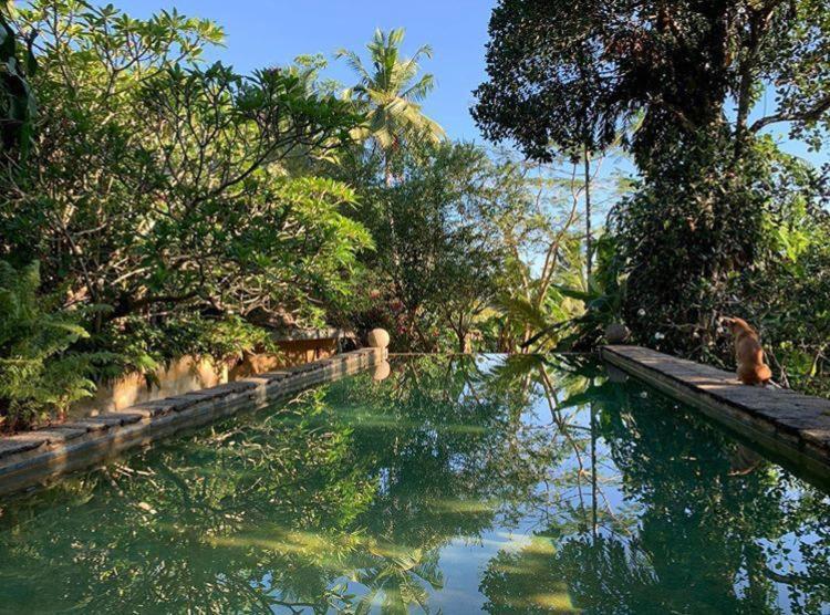 Sri Yoga Shala Bed & Breakfast Unawatuna Dış mekan fotoğraf